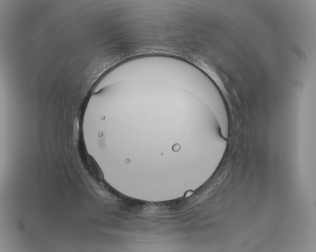 X0000112510109200909281004