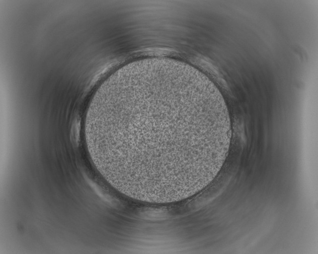 X0000112510110200909281004