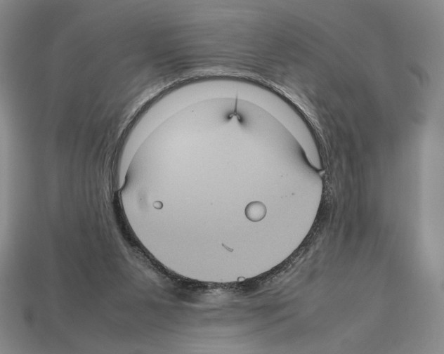 X0000112510111200909281004