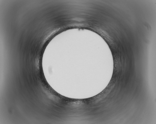 X0000112510112200909281004