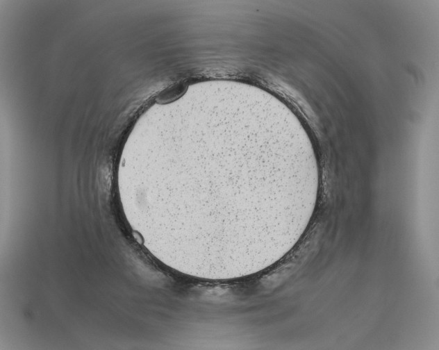 X0000112510113200909281004