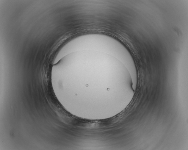 X0000112510116200909281004