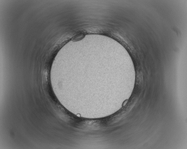 X0000112510117200909281004