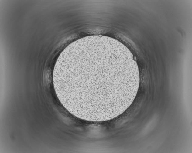 X0000112510119200909281004