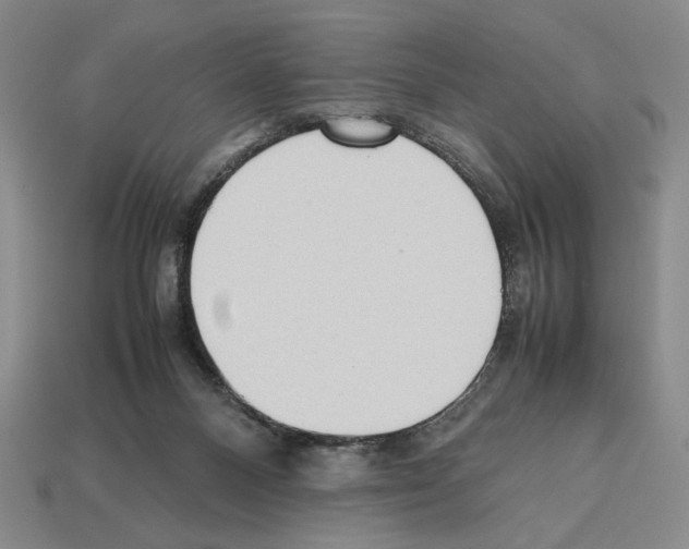 X0000112510120200909281004