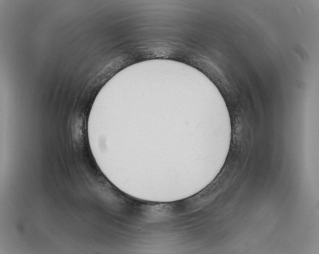 X0000112510122200909281004