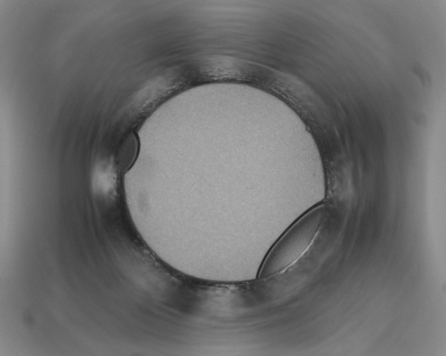 X0000112510124200909281004