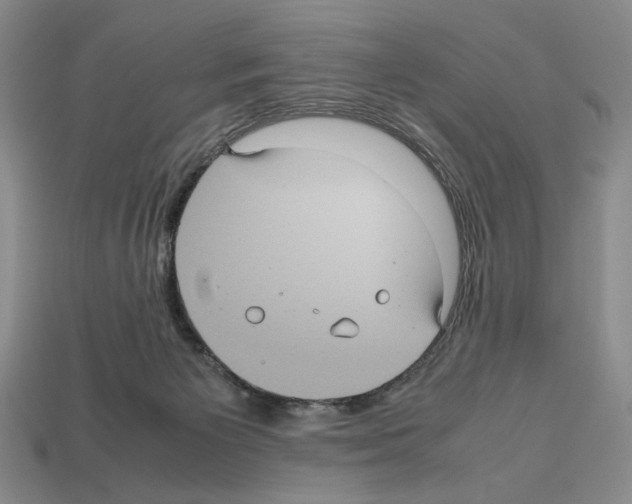 X0000112510125200909281004