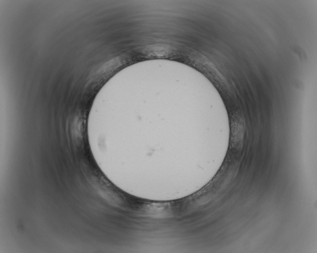 X0000112510126200909281004