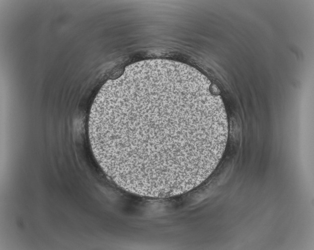 X0000112510127200909281004