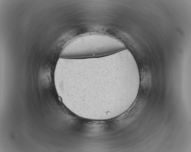 X0000112510128200909281004