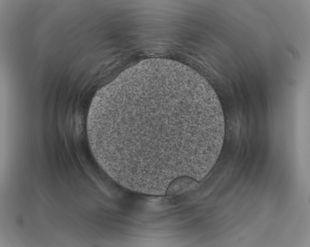 X0000112510130200909281004