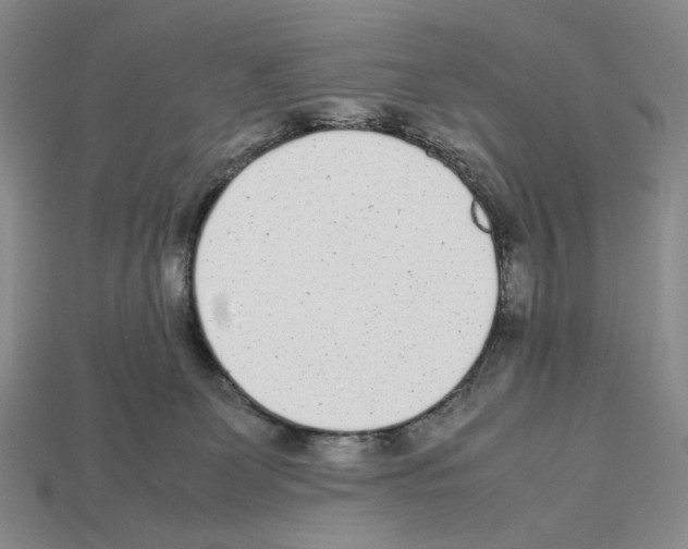 X0000112510131200909281004