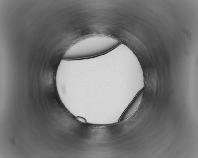 X0000112510132200909281003