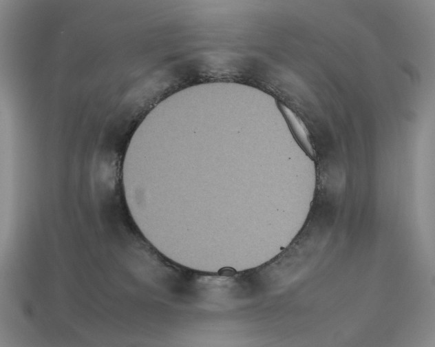 X0000112510133200909281003