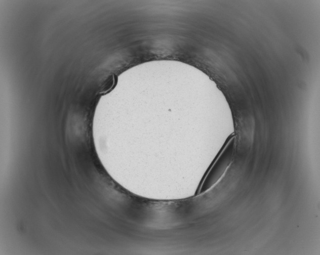 X0000112510136200909281003