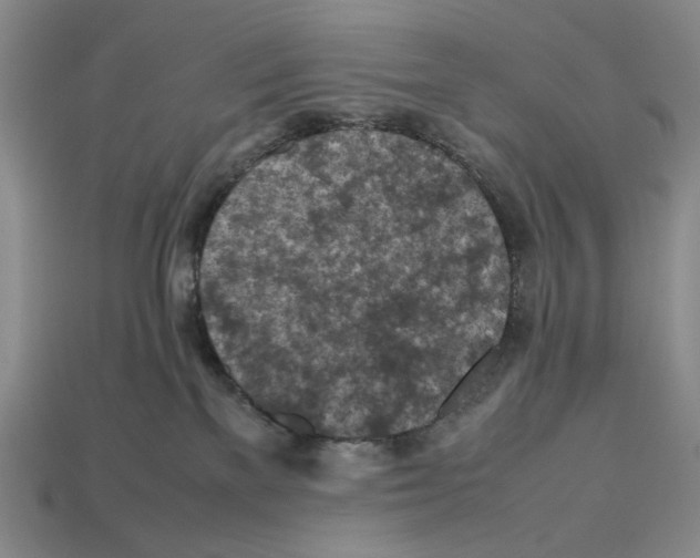 X0000112510137200909281003