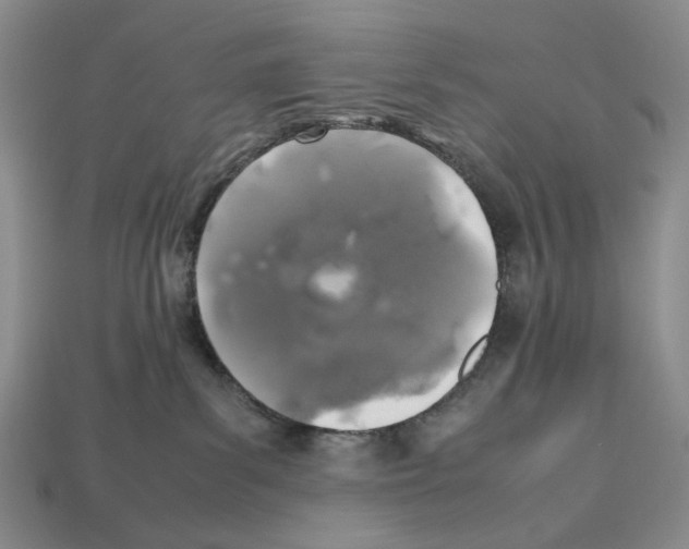 X0000112510139200909281003