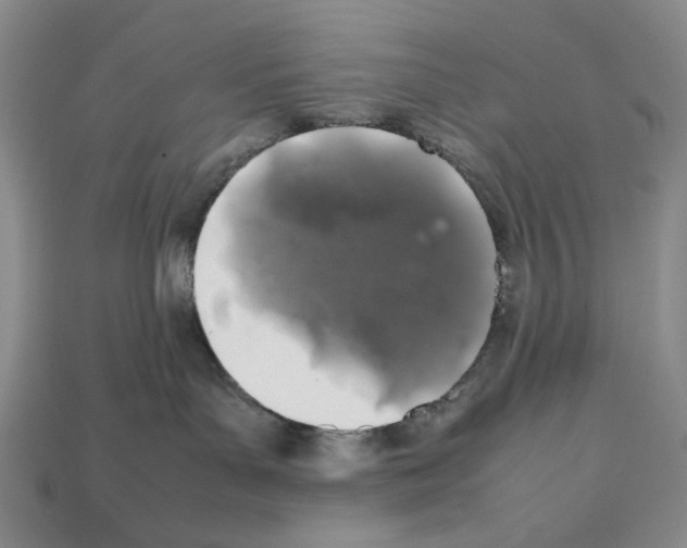 X0000112510143200909281003