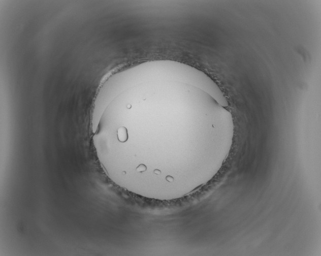 X0000112510144200909281003