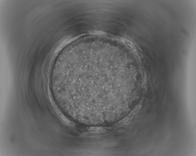 X0000112510145200909281003