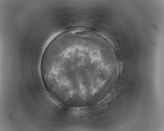 X0000112510147200909281003