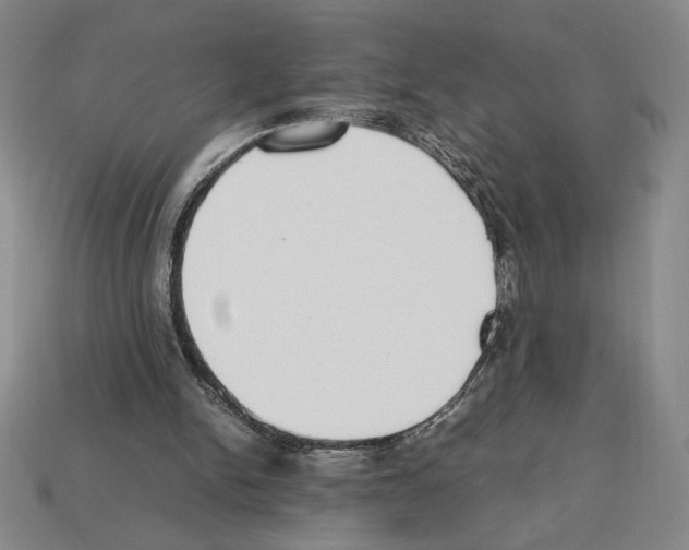 X0000112510150200909281003