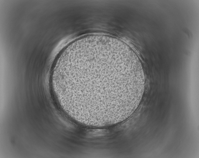 X0000112510151200909281003