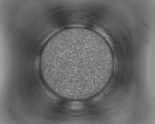 X0000112510153200909281003