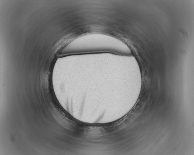 X0000112510154200909281003