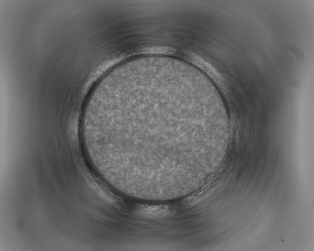 X0000112510155200909281003