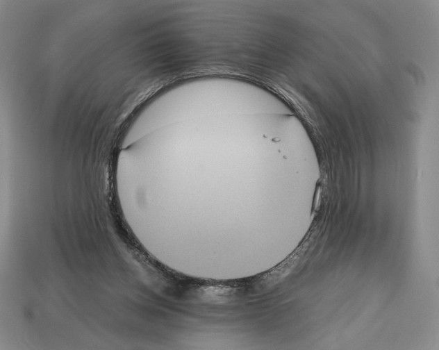 X0000112510158200909281003