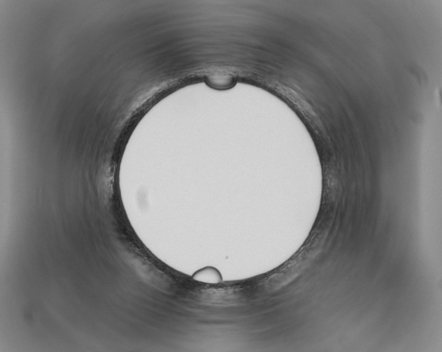 X0000112510160200909281003