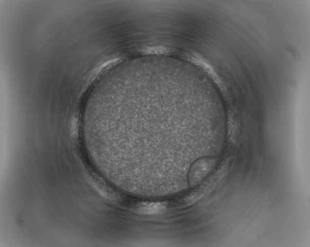 X0000112510161200909281003