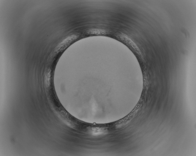 X0000112510163200909281003