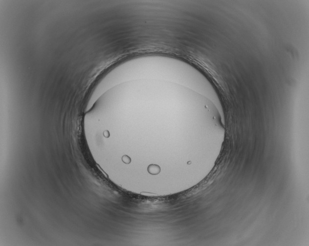 X0000112510164200909281003