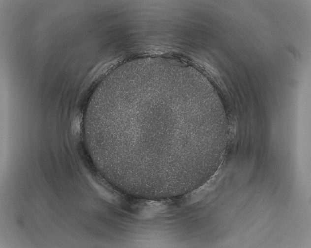 X0000112510166200909281003