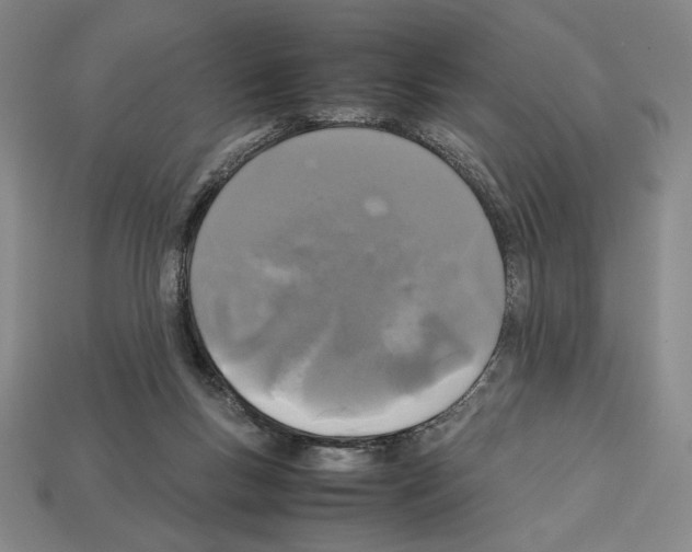 X0000112510167200909281003