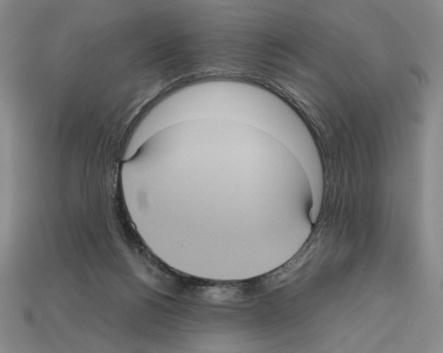 X0000112510168200909281003