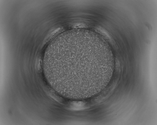 X0000112510169200909281003