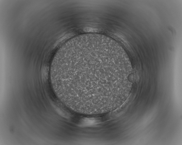 X0000112510171200909281003