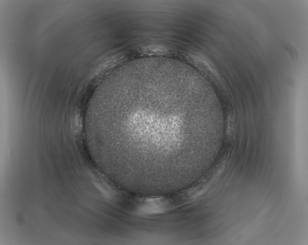 X0000112510173200909281003