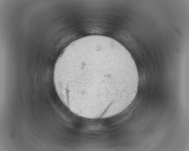 X0000112510175200909281003