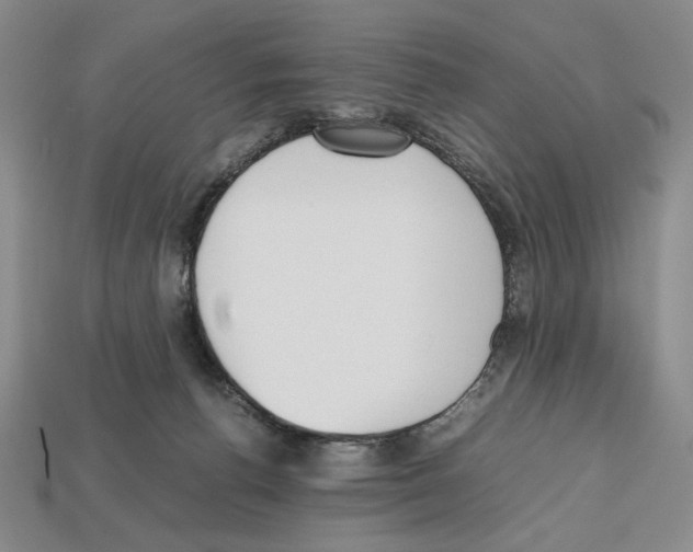 X0000112510176200909281003