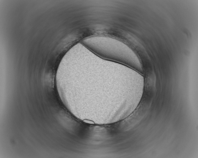 X0000112510180200909281003