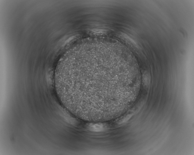 X0000112510181200909281003