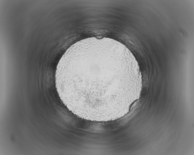 X0000112510182200909281003