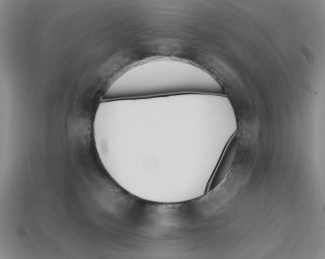 X0000112510184200909281003