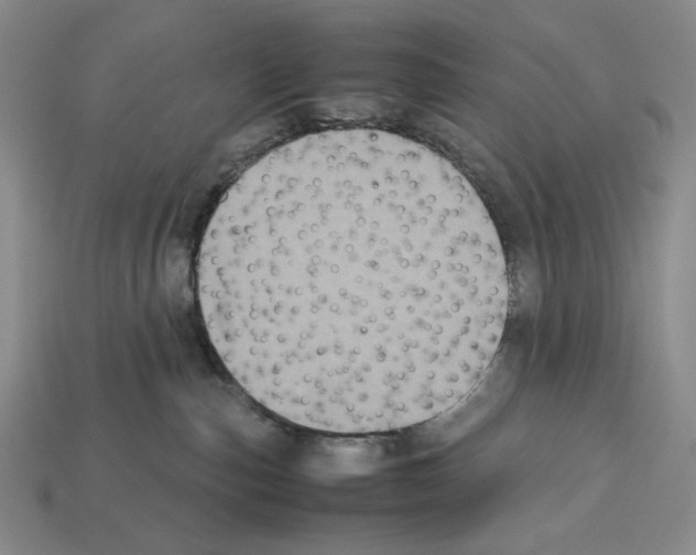 X0000112510187200909281003