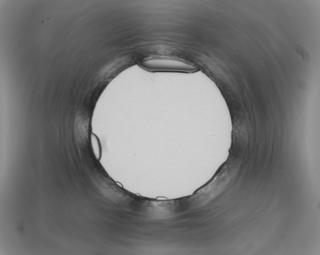 X0000112510188200909281003